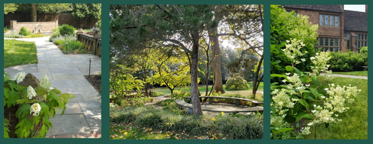 Gardens & Grandeur: Exploring Aldie Mansion and Its Pollinator Meadow